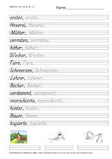 DSS_2S_Bu_er_Nr_12.pdf